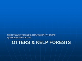 OTTERS & KELP FORESTS
http://www.youtube.com/watch?v=eYpM-
qDNKzs&safe=active
 