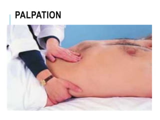Genito - Urinary system assessment. History, palpation & percussion | PPTX