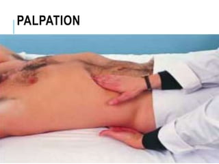Genito - Urinary system assessment. History, palpation & percussion | PPTX