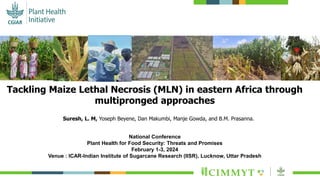 Tackling Maize Lethal Necrosis (MLN) in eastern Africa through
multipronged approaches
Suresh, L. M, Yoseph Beyene, Dan Makumbi, Manje Gowda, and B.M. Prasanna.
National Conference
Plant Health for Food Security: Threats and Promises
February 1-3, 2024
Venue : ICAR-Indian Institute of Sugarcane Research (IISR), Lucknow, Uttar Pradesh
 