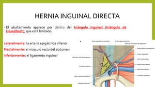 HERNIA INGUINAL DIRECTA
• El abultamiento aparece por dentro del triángulo inguinal (triángulo de
Hesselbach), que está limitado:
Lateralmente: la arteria epigástrica inferior
Medialmente: el músculo recto del abdomen
Inferiormente: el ligamento inguinal
 
