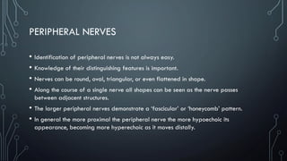 PERIPHERAL NERVES
• Identification of peripheral nerves is not always easy.
• Knowledge of their distinguishing features is important.
• Nerves can be round, oval, triangular, or even flattened in shape.
• Along the course of a single nerve all shapes can be seen as the nerve passes
between adjacent structures.
• The larger peripheral nerves demonstrate a ‘fascicular’ or ‘honeycomb’ pattern.
• In general the more proximal the peripheral nerve the more hypoechoic its
appearance, becoming more hyperechoic as it moves distally.
 