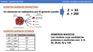 QUÍMICA – QUÍMICA NUCLEAR DOCENTE: EDUARDO LOZANO MELCHOR
ELEMETOS QUÍMICOS RADIACTIVOS
Z > 83
A > 200
Un elemento es radioactivo por lo general cuando:
ELEMETOS QUÍMICOS ESTABLES
NÚMEROS MÁGICOS
Los núcleos cuya cantidad de
protones o neutrones son: 2, 8,
20, 28,50, 82 y 126
 