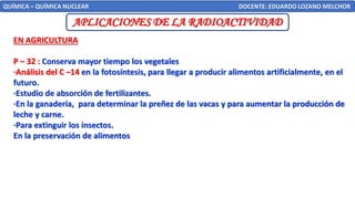 QUÍMICA – QUÍMICA NUCLEAR DOCENTE: EDUARDO LOZANO MELCHOR
APLICACIONES DE LA RADIOACTIVIDAD
EN AGRICULTURA
P – 32 : Conserva mayor tiempo los vegetales
·Análisis del C –14 en la fotosíntesis, para llegar a producir alimentos artificialmente, en el
futuro.
·Estudio de absorción de fertilizantes.
·En la ganadería, para determinar la preñez de las vacas y para aumentar la producción de
leche y carne.
·Para extinguir los insectos.
En la preservación de alimentos
 