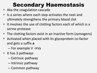 Secondary Haemostasis
• Aka the coagulation cascade
• Is a series where each step activates the next and
ultimately strengthens the primary blood clot
• It involves the use of clotting factors each of which is a
serine protease
• The clotting factors exist in an inactive form (zymogens)
• Activated when placed with its glycoprotein co-factor
and gets a suffix a
– For example V →Va
• It has 3 pathways
– Extrinsic pathway
– Intrinsic pathway
– Common pathway
 