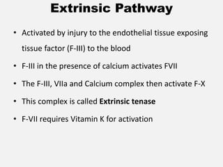 Extrinsic Pathway
• Activated by injury to the endothelial tissue exposing
tissue factor (F-III) to the blood
• F-III in the presence of calcium activates FVII
• The F-III, VIIa and Calcium complex then activate F-X
• This complex is called Extrinsic tenase
• F-VII requires Vitamin K for activation
 