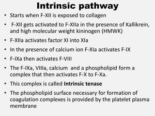 Intrinsic pathway
• Starts when F-XII is exposed to collagen
• F-XII gets activated to F-XIIa in the presence of Kallikrein,
and high molecular weight kininogen (HMWK)
• F-XIIa activates factor XI into XIa
• In the presence of calcium ion F-XIa activates F-IX
• F-IXa then activates F-VIII
• The F-IXa, VIIIa, calcium and a phospholipid form a
complex that then activates F-X to F-Xa.
• This complex is called Intrinsic tenase
• The phospholipid surface necessary for formation of
coagulation complexes is provided by the platelet plasma
membrane
 