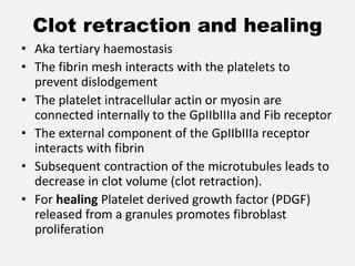 Clot retraction and healing
• Aka tertiary haemostasis
• The fibrin mesh interacts with the platelets to
prevent dislodgement
• The platelet intracellular actin or myosin are
connected internally to the GpIIbIIIa and Fib receptor
• The external component of the GpIIbIIIa receptor
interacts with fibrin
• Subsequent contraction of the microtubules leads to
decrease in clot volume (clot retraction).
• For healing Platelet derived growth factor (PDGF)
released from a granules promotes fibroblast
proliferation
 