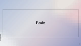 slidesmania.com
Brain
23
 