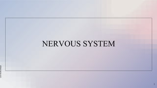 slidesmania.com
NERVOUS SYSTEM
3
 