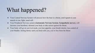slidesmania.com
What happened?
● Your Central Nervous System will process how the bear is a threat, send signals to your
muscle to run, fight, stand still.
● Your Peripheral Nervous system (Autonomic Nervous System; Sympathetic nerves), will
increase your heartbeat, demand your body to take action against the threat.
● Your body will go on survival mode, you lose appetite, your breath shorter, less control of
your bladder, feeling thirsty until you brain tells you, you’re free from the threat
9
 