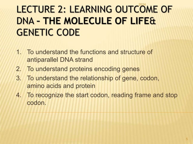 Dna Genes And Chromosomes Structure Pptx
