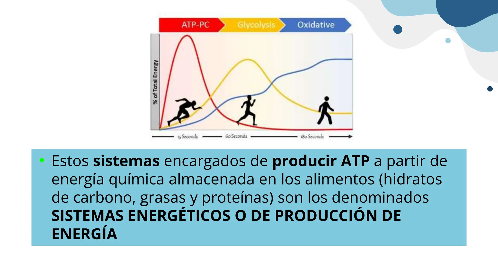 SISTEMAS ENERGÉTICOS EN EL DEPORTERN GENERAL | PPTX