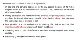 Beneficial effects of Dew in relation to Agriculture
• In the arid and semiarid regions or in the dry season, because of its higher
frequency dew acts as a notable water resource. This, accelerates the increase
of biomass in plants.
• During desiccation and rehydration dew enhance the photosynthetic activity. It
regulates the transpiration pressure and thus helping the wilting plant to restore
the appropriate turger pressure of cell.
• Dew provide a moist environment in repairing the DNA of embryo, thus
maintain viability of seed under harsh desert conditions;
• Improving water content of surface soil and there by mitigating soil water stress
partially.
• Regulating growing environment of forest plants.
 