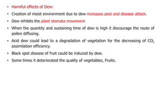 • Harmful effects of Dew:
• Creation of moist environment due to dew increases pest and disease attack.
• Dew inhibits the plant stomata movement
• When the quantity and sustaining time of dew is high it discourage the route of
pollen diffusing.
• Acid dew could lead to a degradation of vegetation for the decreasing of CO2
assimilation efficiency.
• Black spot disease of fruit could be induced by dew.
• Some times it deteriorated the quality of vegetables, Fruits.
 