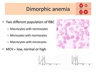 Peripheral blood smeared examination test | PDF