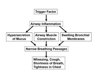Bronchial Asthma and its clinical presentations | PPT