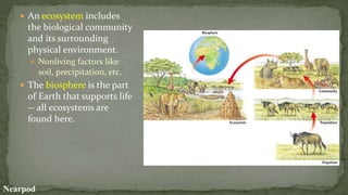 Evolution and Ecology: Involving in its sorroundings | PPTX