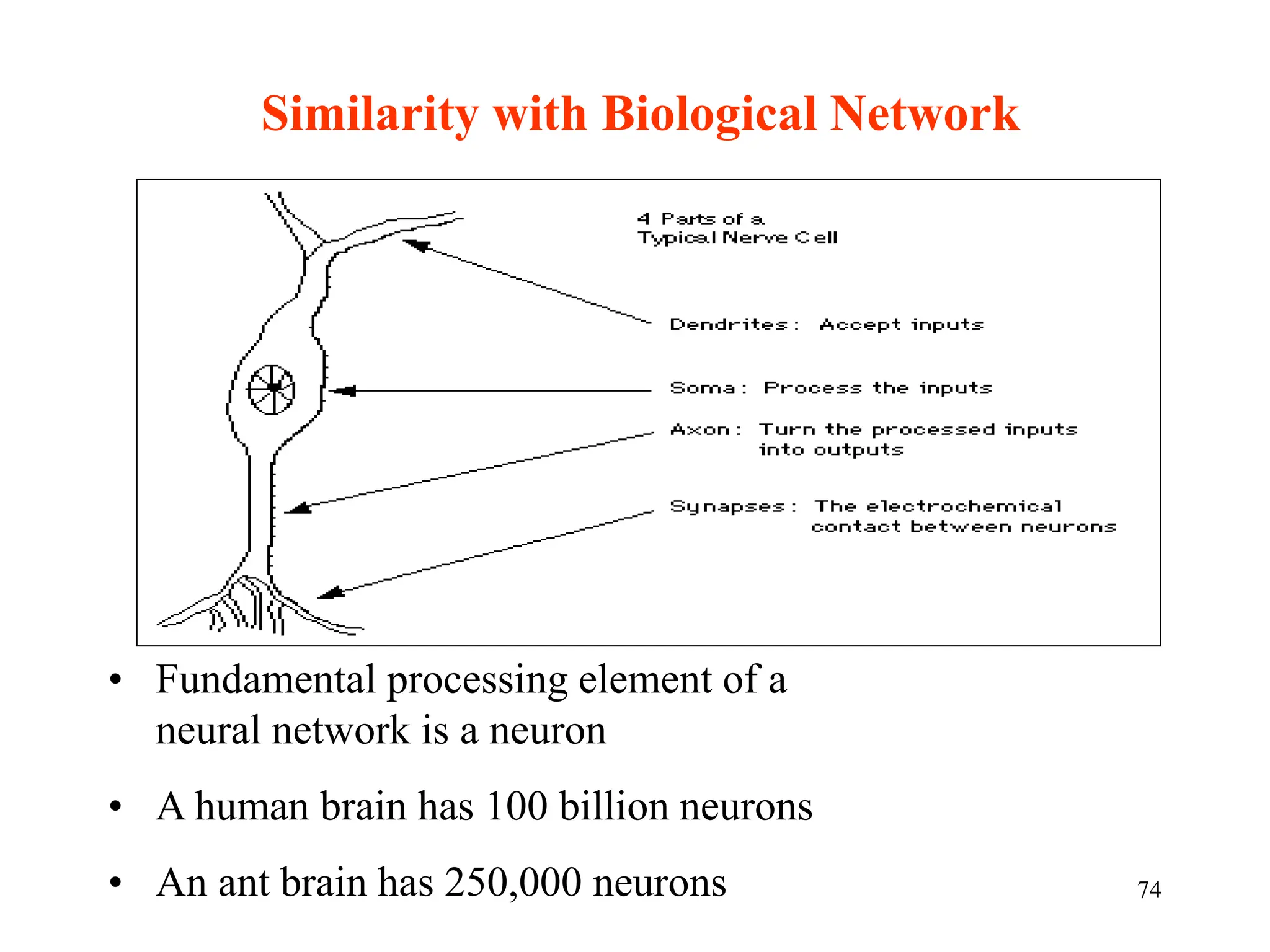 Similarity with Biological Network
• Fundamental processing element of a
neural network is a neuron
• A human brain has 100 billion neurons
• An ant brain has 250,000 neurons 74
 