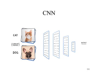 CNN
111
 