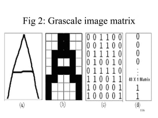 Fig 2: Grascale image matrix
116
 