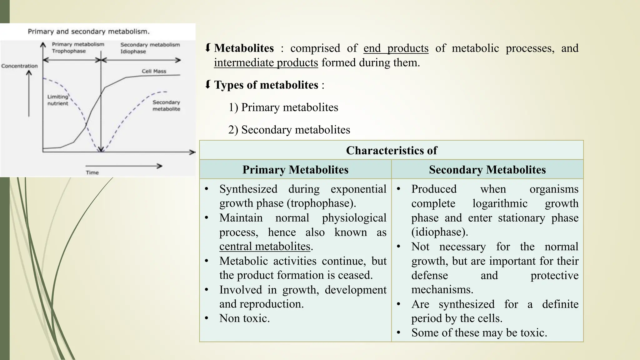  Metabolites : comprised of end products of metabolic processes, and
intermediate products formed during them.
 Types of metabolites :
1) Primary metabolites
2) Secondary metabolites
Characteristics of
Primary Metabolites Secondary Metabolites
• Synthesized during exponential
growth phase (trophophase).
• Maintain normal physiological
process, hence also known as
central metabolites.
• Metabolic activities continue, but
the product formation is ceased.
• Involved in growth, development
and reproduction.
• Non toxic.
• Produced when organisms
complete logarithmic growth
phase and enter stationary phase
(idiophase).
• Not necessary for the normal
growth, but are important for their
defense and protective
mechanisms.
• Are synthesized for a definite
period by the cells.
• Some of these may be toxic.
 