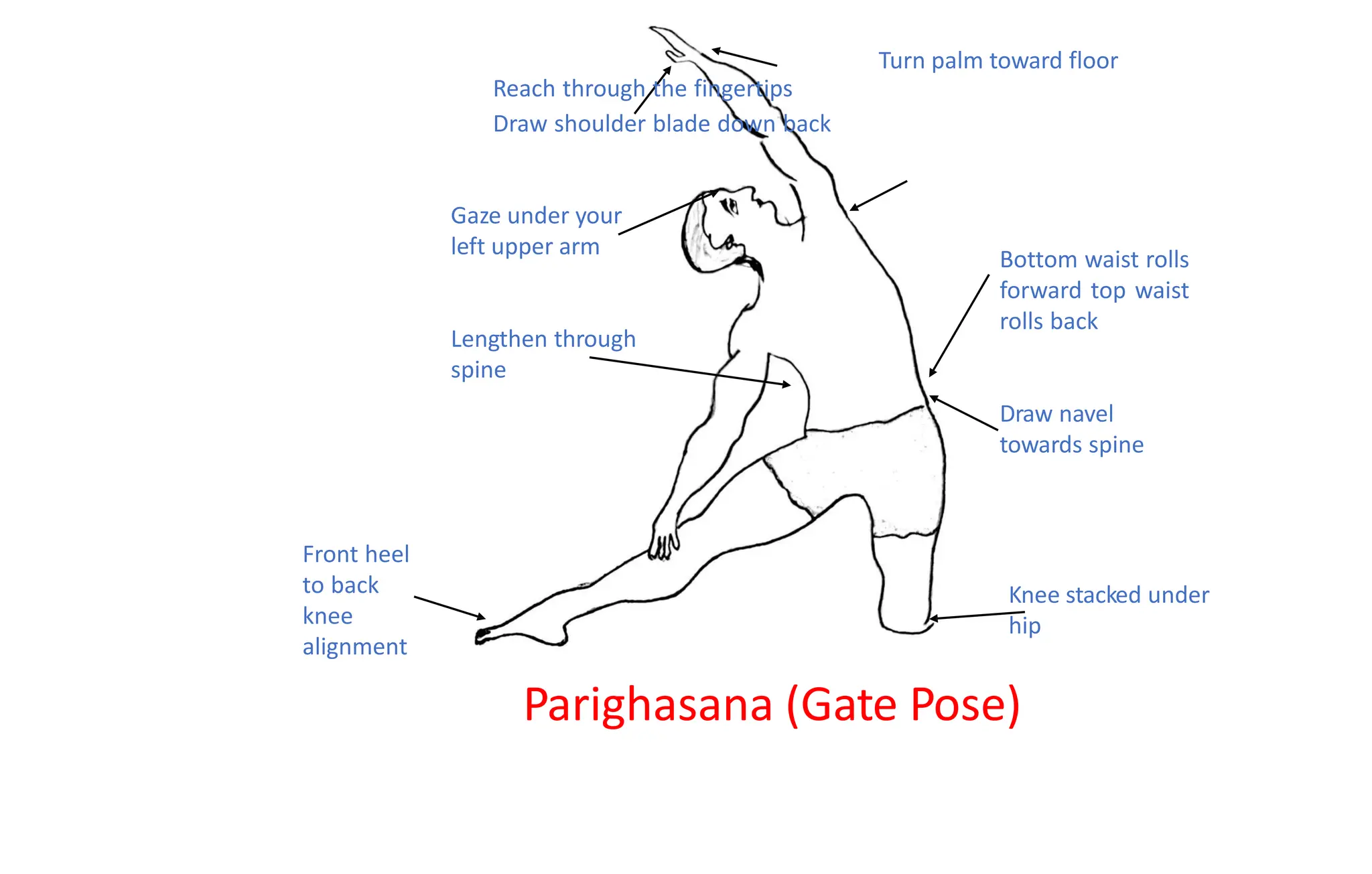 kneeling asana - Comprehensive understanding of kneeling asana | PPT