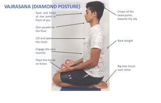 kneeling asana - Comprehensive understanding of kneeling asana | PDF
