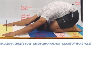 kneeling asana - Comprehensive understanding of kneeling asana | PDF
