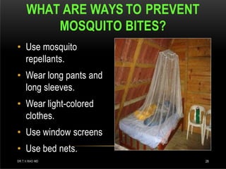 • Use mosquito
repellants.
• Wear long pants and
long sleeves.
• Wear light-colored
clothes.
• Use window screens
• Use bed nets.
WHAT ARE WAYS TO PREVENT
MOSQUITO BITES?
DR.T.V.RAO MD 28
 
