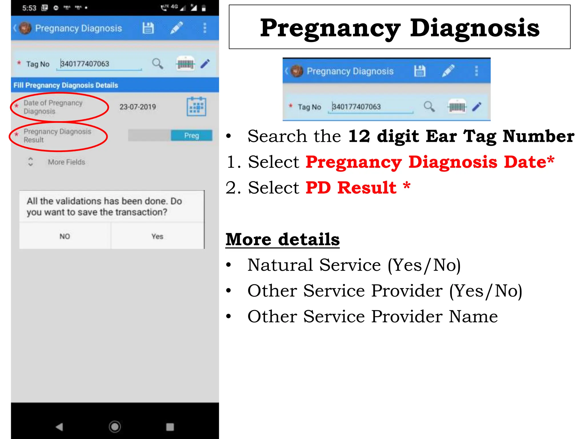 Pregnancy Diagnosis
• Search the 12 digit Ear Tag Number
1. Select Pregnancy Diagnosis Date*
2. Select PD Result *
More details
• Natural Service (Yes/No)
• Other Service Provider (Yes/No)
• Other Service Provider Name
 