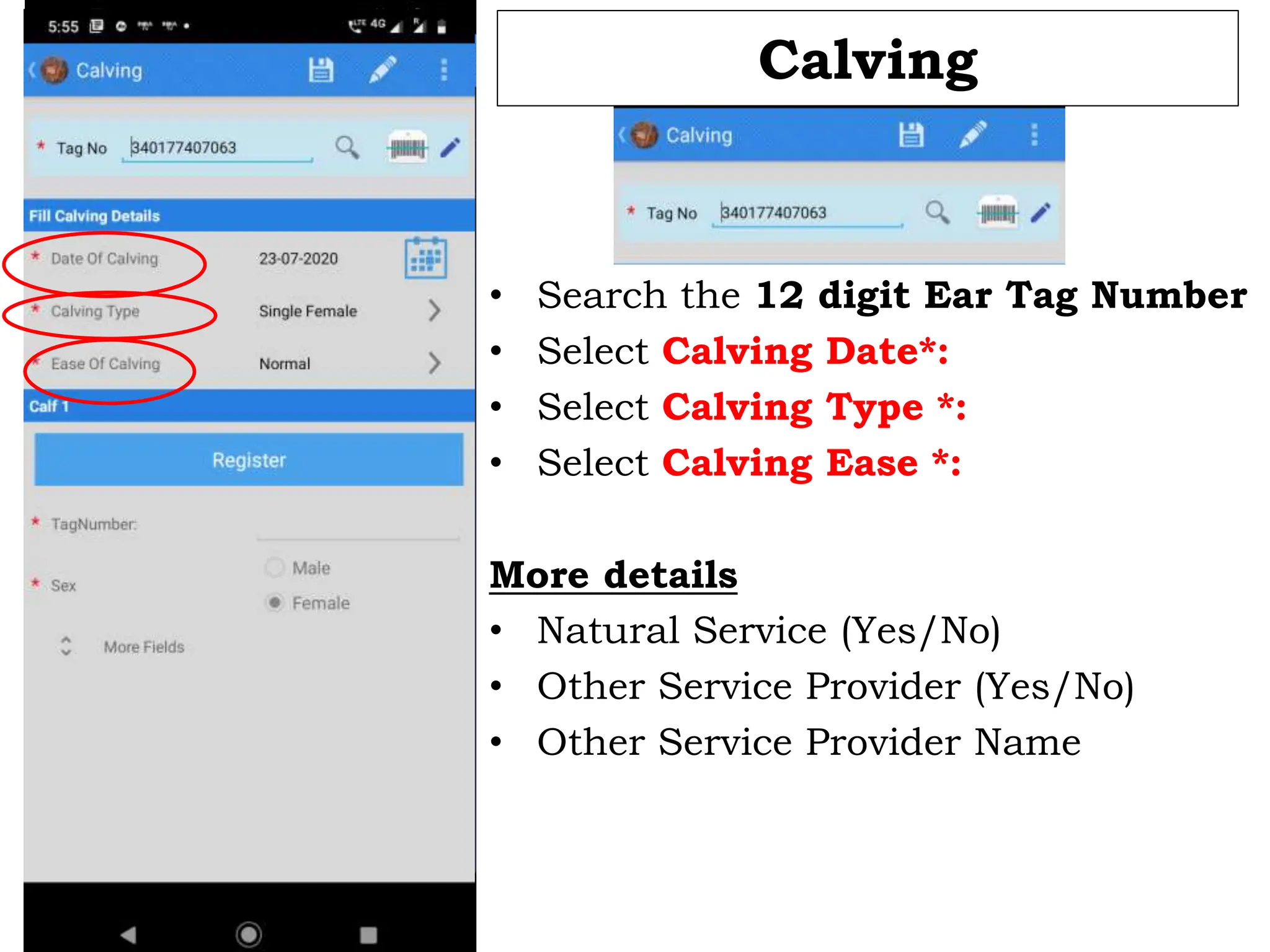 Calving
• Search the 12 digit Ear Tag Number
• Select Calving Date*:
• Select Calving Type *:
• Select Calving Ease *:
More details
• Natural Service (Yes/No)
• Other Service Provider (Yes/No)
• Other Service Provider Name
 