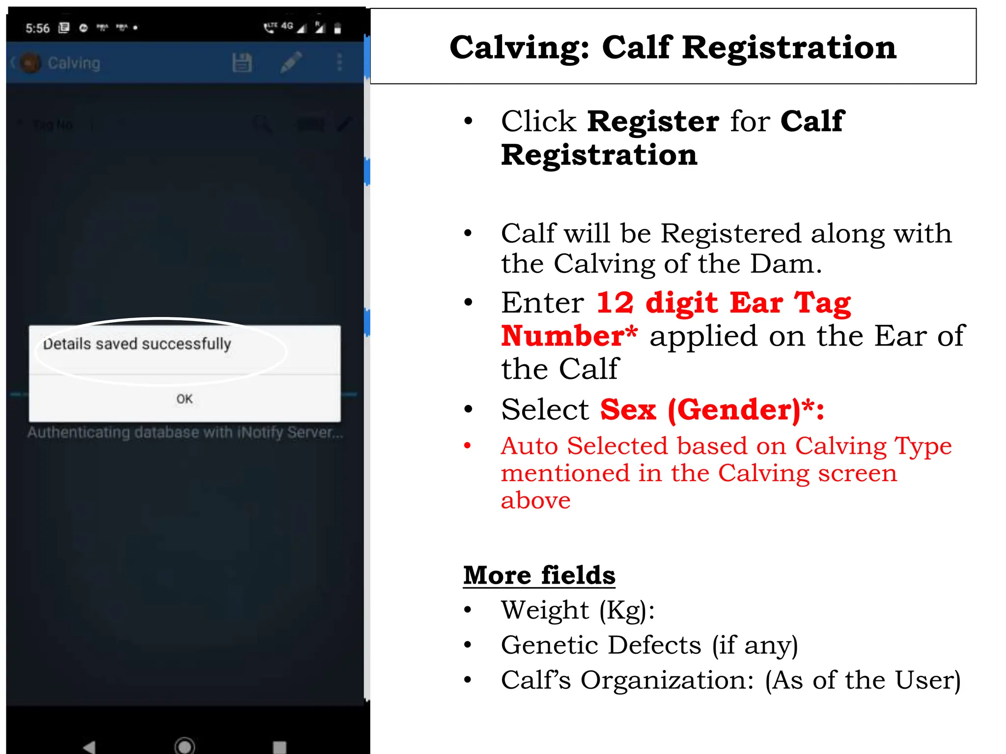 Calving: Calf Registration
• Click Register for Calf
Registration
• Calf will be Registered along with
the Calving of the Dam.
• Enter 12 digit Ear Tag
Number* applied on the Ear of
the Calf
• Select Sex (Gender)*:
• Auto Selected based on Calving Type
mentioned in the Calving screen
above
More fields
• Weight (Kg):
• Genetic Defects (if any)
• Calf’s Organization: (As of the User)
 