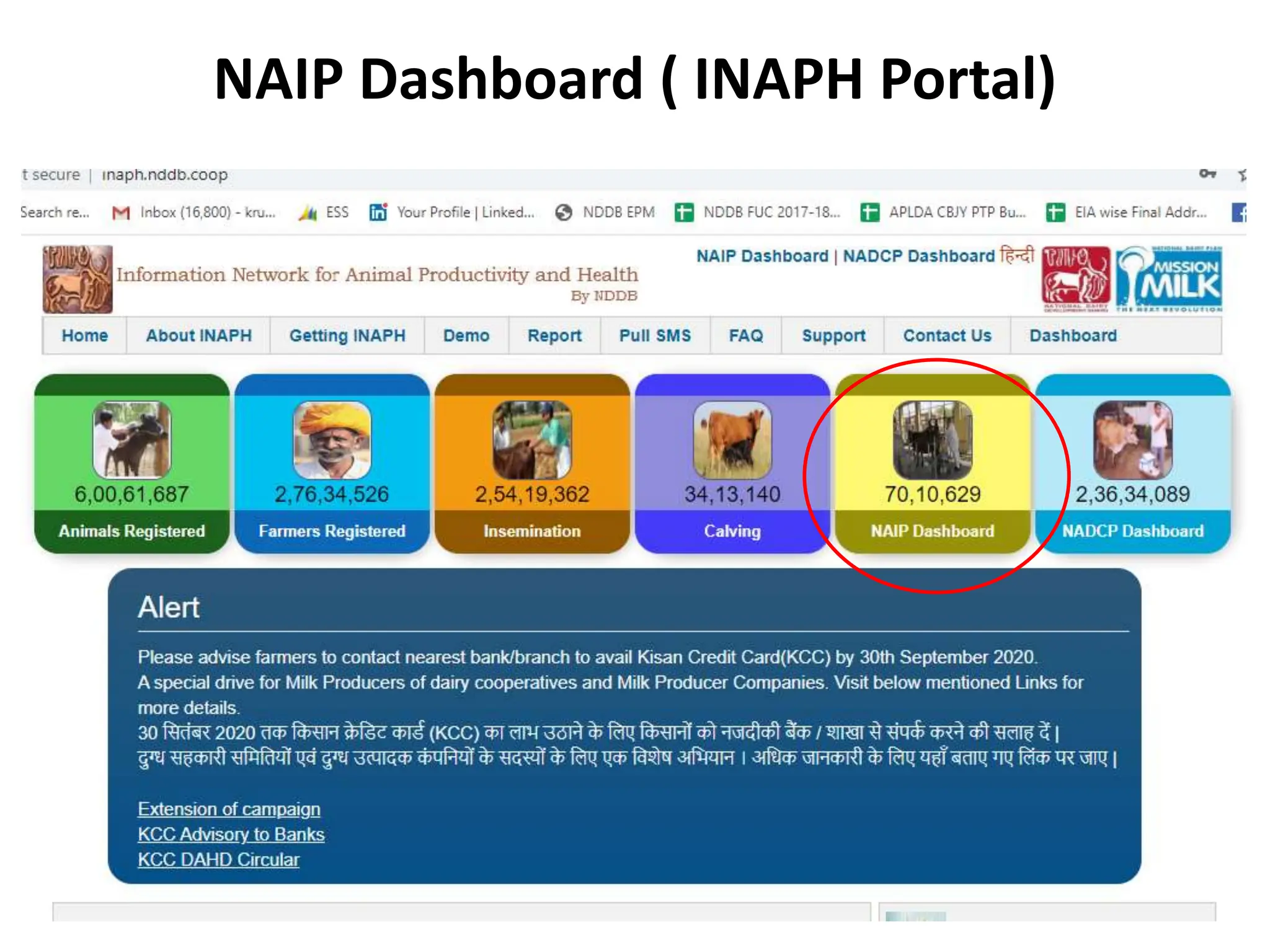 NAIP Dashboard ( INAPH Portal)
 