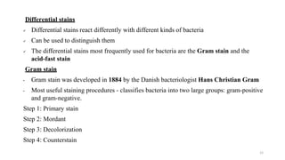 Identification of bacteria using staining techniques | PPTX