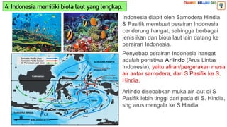 4. Indonesia memiliki biota laut yang lengkap.
Indonesia diapit oleh Samodera Hindia
& Pasifik membuat perairan Indonesia
cenderung hangat, sehingga berbagai
jenis ikan dan biota laut lain datang ke
perairan Indonesia.
Penyebab perairan Indonesia hangat
adalah peristiwa Arlindo (Arus Lintas
Indonesia), yaitu aliran/pergerakan masa
air antar samodera, dari S Pasifik ke S.
Hindia.
Siklus Arus Laut Global
Arlindo disebabkan muka air laut di S
Pasifik lebih tinggi dari pada di S. Hindia,
shg arus mengalir ke S Hindia.
 