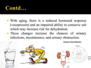 Physiologic changes in elderly in different system | PDF