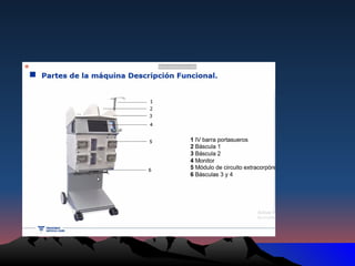 2.1 EQUILIBRIO ÁCIDO - BASE VENTILACIO MECANICA.pptx