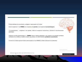2.1 EQUILIBRIO ÁCIDO - BASE VENTILACIO MECANICA.pptx