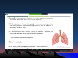 2.1 EQUILIBRIO ÁCIDO - BASE VENTILACIO MECANICA.pptx