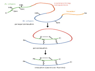 2. Post translational modifications.pptx