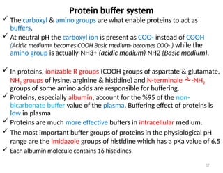 17
 The carboxyl & amino groups are what enable proteins to act as
buffers.
 At neutral pH the carboxyl ion is present as COO- instead of COOH
(Acidic medium= becomes COOH Basic medium- becomes COO- ) while the
amino group is actually-NH3+ (acidic medium) NH2 (Basic medium).
 In proteins, ionizable R groups (COOH groups of aspartate & glutamate,
NH2 groups of lysine, arginine & histidine) and N-terminale -NH2
groups of some amino acids are responsible for buffering.
 Proteins, especially albumin, account for the %95 of the non-
bicarbonate buffer value of the plasma. Buffering effect of proteins is
low in plasma
 Proteins are much more effective buffers in intracellular medium.
 The most important buffer groups of proteins in the physiological pH
range are the imidazole groups of histidine which has a pKa value of 6.5
 Each albumin molecule contains 16 histidines
Protein buffer system
 