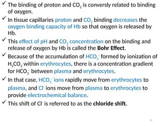 19
 The binding of proton and CO2 is conversly related to binding
of oxygen.
 In tissue capillaries proton and CO2 binding decreases the
oxygen binding capacity of Hb so that oxygen is released by
Hb.
 This effect of pH and CO2 concentration on the binding and
release of oxygen by Hb is called the Bohr Effect.
 Because of the accumulation of HCO3
-
formed by ionization of
H2CO3 within erythrocytes, there is a concentration gradient
for HCO3
-
between plasma and erythrocytes.
 In that case, HCO3
-
ions rapidly move from erythrocytes to
plasma, and Cl-
ions move from plasma to erythrocytes to
provide electrochemical balance.
 This shift of Cl-
is referred to as the chloride shift.
 
