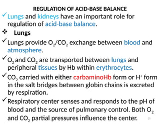 23
Lungs and kidneys have an important role for
regulation of acid-base balance.
 Lungs
Lungs provide O2/CO2 exchange between blood and
atmosphere.
O2 and CO2 are transported between lungs and
peripheral tissues by Hb within erythrocytes.
CO2 carried with either carbaminoHb form or H+
form
in the salt bridges between globin chains is excreted
by respiration.
Respiratory center senses and responds to the pH of
blood and the source of pulmonary control. Both O2
and CO2 partial pressures influence the center.
REGULATION OF ACID-BASE BALANCE
 