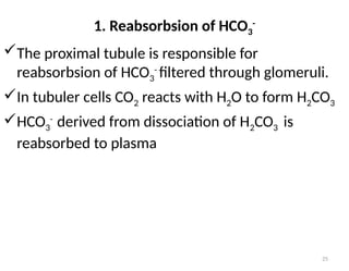 25
The proximal tubule is responsible for
reabsorbsion of HCO3
-
filtered through glomeruli.
In tubuler cells CO2 reacts with H2O to form H2CO3
HCO3
-
derived from dissociation of H2CO3 is
reabsorbed to plasma
1. Reabsorbsion of HCO3
-
 