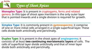 Types of Shoot Apices
Monoplex Type: It is present in cryptogams, ferns and related
genera. In this type of shoot apex meristem is the only outer layer
that is pointed inwards and a single division is required for growth.
Simplex Type: It is commonly present in gymnosperms; it comprise
of one or more initial cells arranged in a single superficial layer. These
cells divide both anticlinally and periclinally.
Duplex Type: It is present in the shoot apex of angiosperms; it
consists of at least two continuing meristematic layers of cells. The
cells of superficial layer divide anticlinally and that of inner layer
divide both anticlinally and periclinally.
 