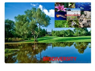 Biodiversity and its importance in environment | PPTX