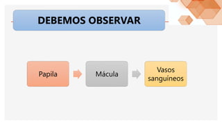DEBEMOS OBSERVAR
Papila Mácula
Vasos
sanguíneos
 