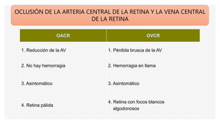 OCLUSIÓN DE LA ARTERIA CENTRAL DE LA RETINA Y LA VENA CENTRAL
DE LA RETINA
OACR OVCR
1. Reducción de la AV 1. Pérdida brusca de la AV
2. No hay hemorragia 2. Hemorragia en llama
3. Asintomático 3. Asintomático
4. Retina pálida
4. Retina con focos blancos
algodonosos
 