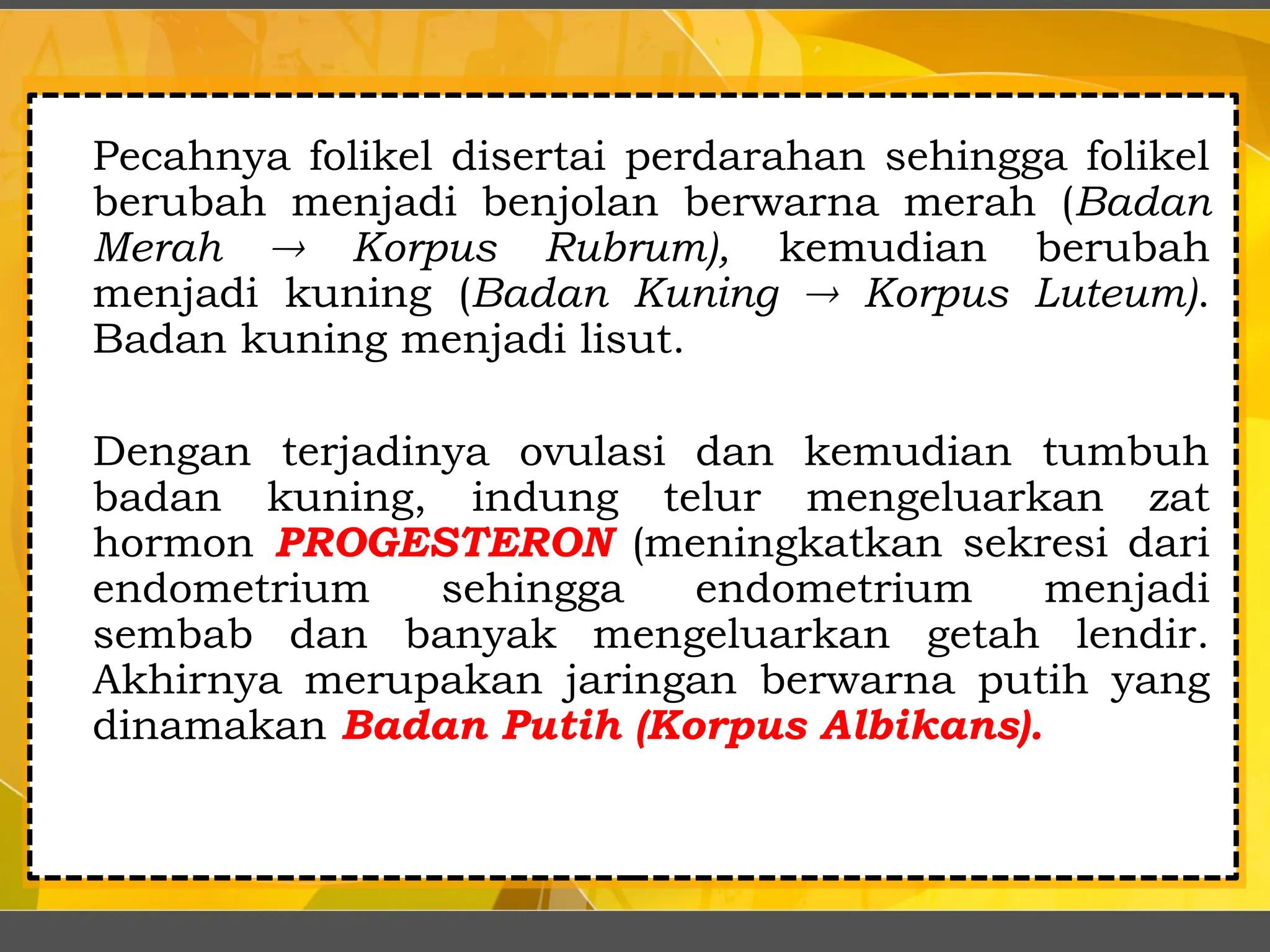 Pecahnya folikel disertai perdarahan sehingga folikel
berubah menjadi benjolan berwarna merah (Badan
Merah  Korpus Rubrum), kemudian berubah
menjadi kuning (Badan Kuning  Korpus Luteum).
Badan kuning menjadi lisut.
Dengan terjadinya ovulasi dan kemudian tumbuh
badan kuning, indung telur mengeluarkan zat
hormon PROGESTERON (meningkatkan sekresi dari
endometrium sehingga endometrium menjadi
sembab dan banyak mengeluarkan getah lendir.
Akhirnya merupakan jaringan berwarna putih yang
dinamakan Badan Putih (Korpus Albikans).
 